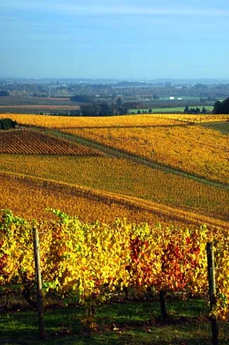 Chasing the Color Change: America's Greatest Fall Drives and How to Time Them Right