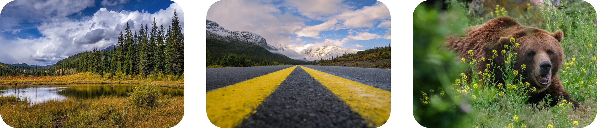 Banff Jasper