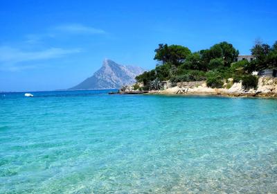 Car rental in Olbia - teaser