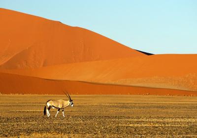 Auto huren in Namibië  - teaser